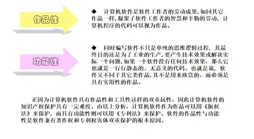 计算机软件知识产权与保护 技术开发中的核心议题