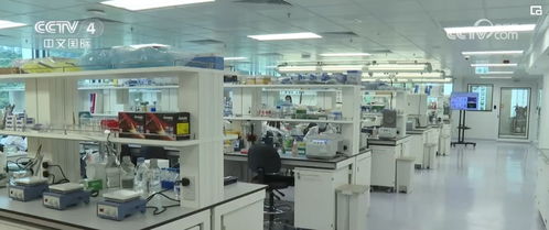 两会聚焦 以有分量的计算机软件技术，赋能经济、科技与民生发展新目标