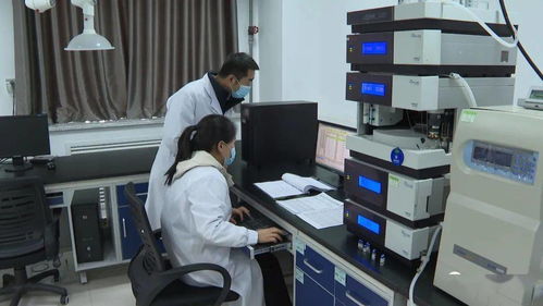 岷县 以计算机软件技术开发为引擎，科技创新引领县域经济高质量发展